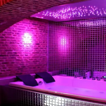 Private & Avec Jacuzzi Privatif Appartement Rijsel